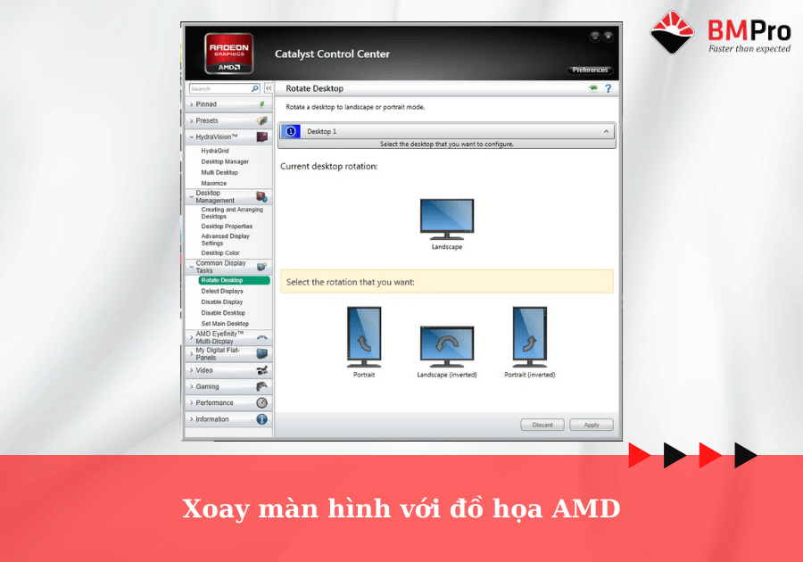 đồ họa AMD
