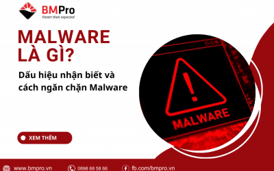 Malware là gì? Dấu hiệu nhận biết và cách ngăn chặn Malware